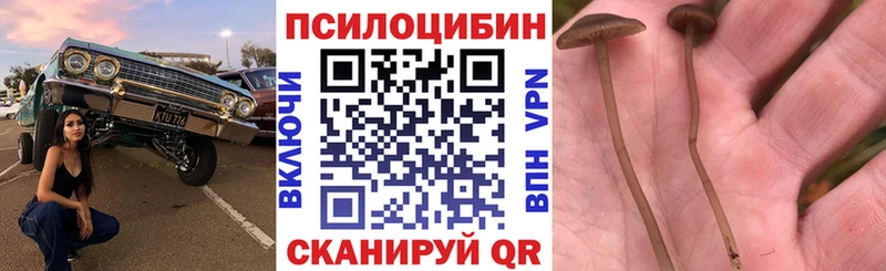 Псилоцибиновые грибы Magic Shrooms  Купить  Первомайск 
